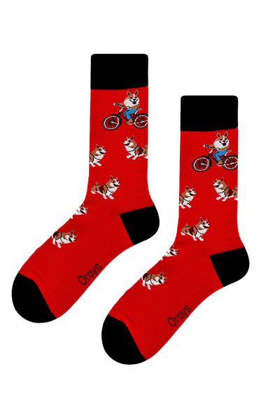 Men's Dog & Bicycle Socks