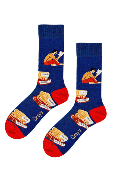 Books & Reader Socks